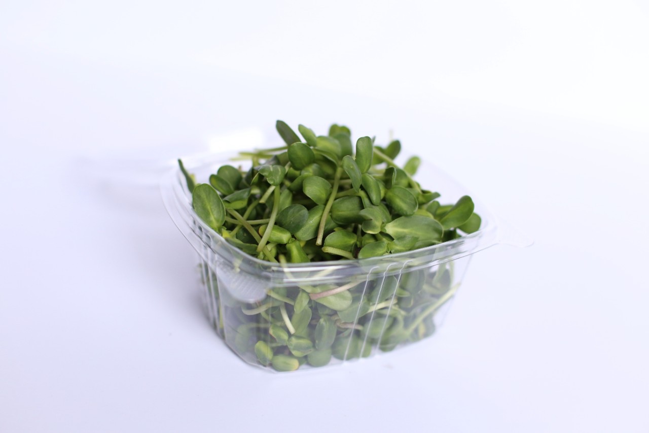 Sunflower Microgreens (8 oz)