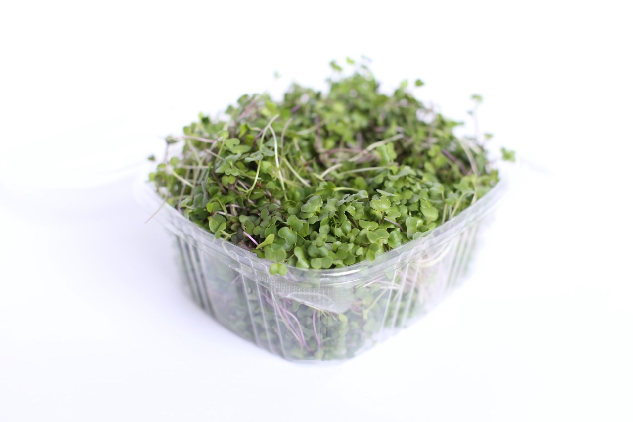 Sunny Mix Microgreens (pre-cut) (8 oz)