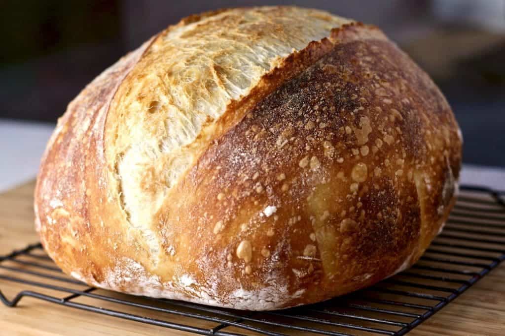 Bread