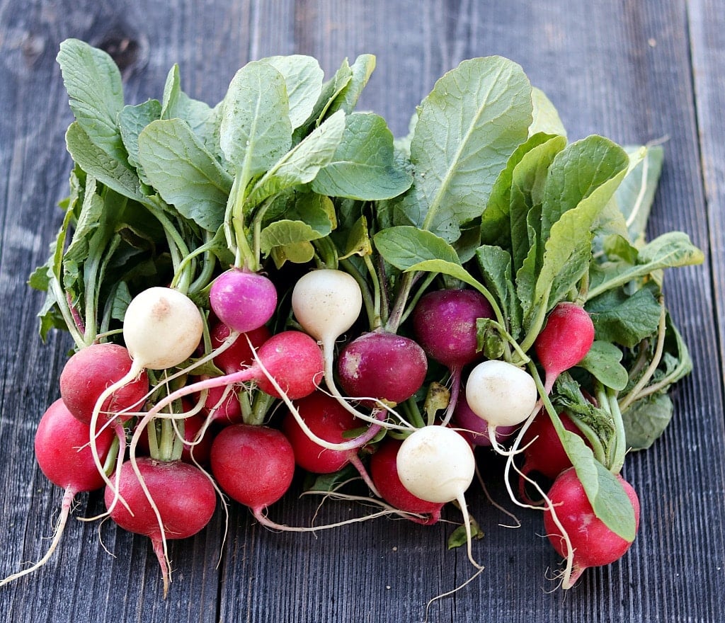 Radishes