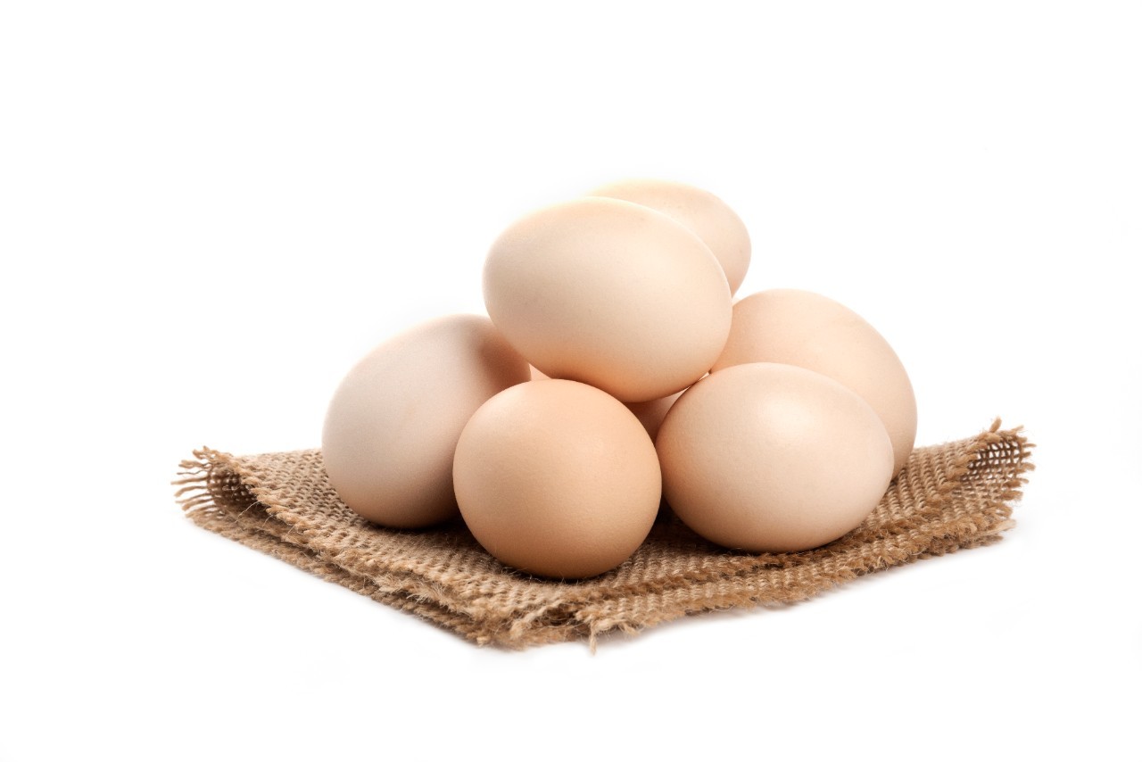 Pasture-raised Eggs (XL)